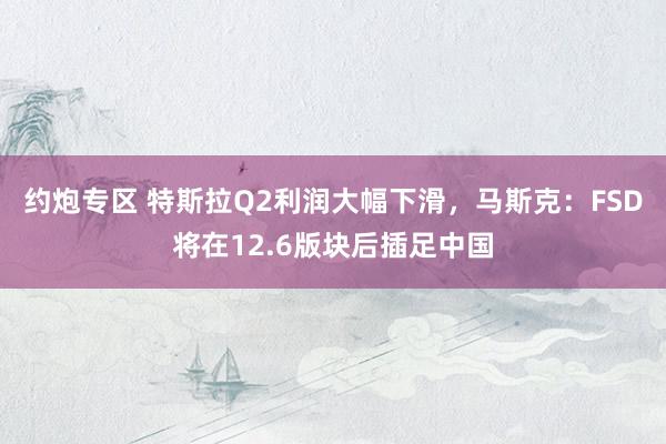 约炮专区 特斯拉Q2利润大幅下滑，马斯克：FSD将在12.6版块后插足中国