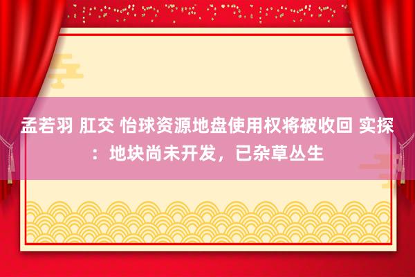 孟若羽 肛交 怡球资源地盘使用权将被收回 实探：地块尚未开发，已杂草丛生