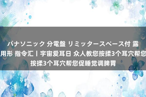 パナソニック 分電盤 リミッタースペース付 露出・半埋込両用形 指令汇丨宇宙爱耳日 众人教您按揉3个耳穴帮您促睡觉调脾胃